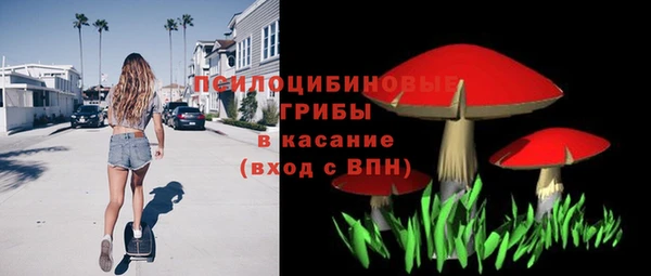 прущий лед Пересвет