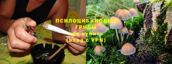 соль ск Покров