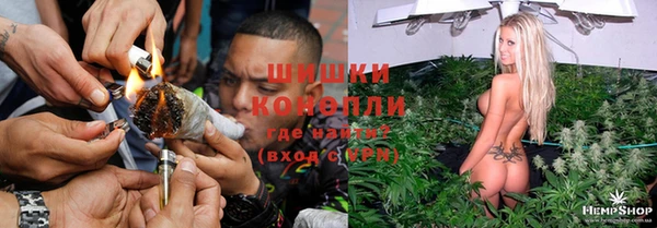 дурь Покачи