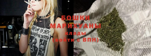 дурь Покачи