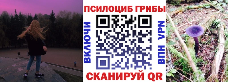 kraken tor  Пойковский  Галлюциногенные грибы ЛСД 